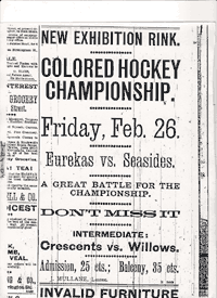 [Black+Ice+poster2.gif]