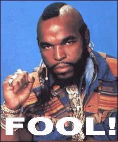 [mr+t_fool.jpg]