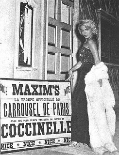 [ts-Coccinelle2.jpg]