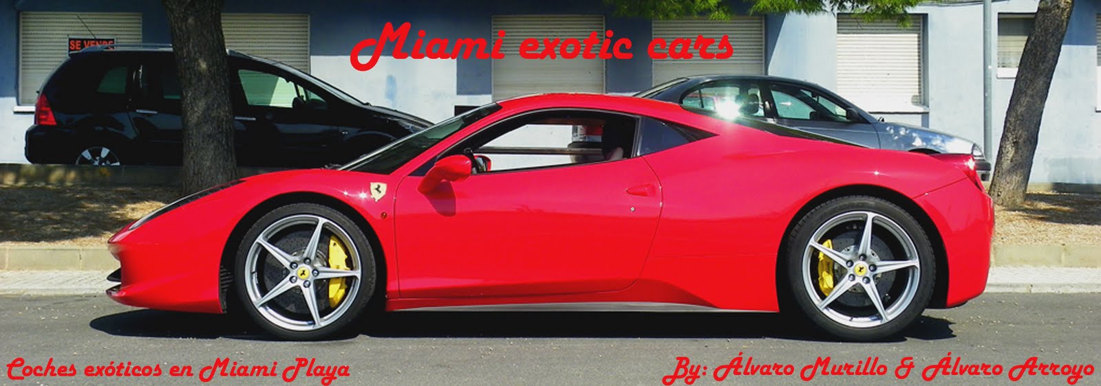Miami Exotic Cars