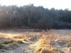 Round Meadow