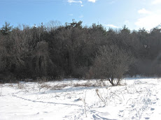 Round Meadow