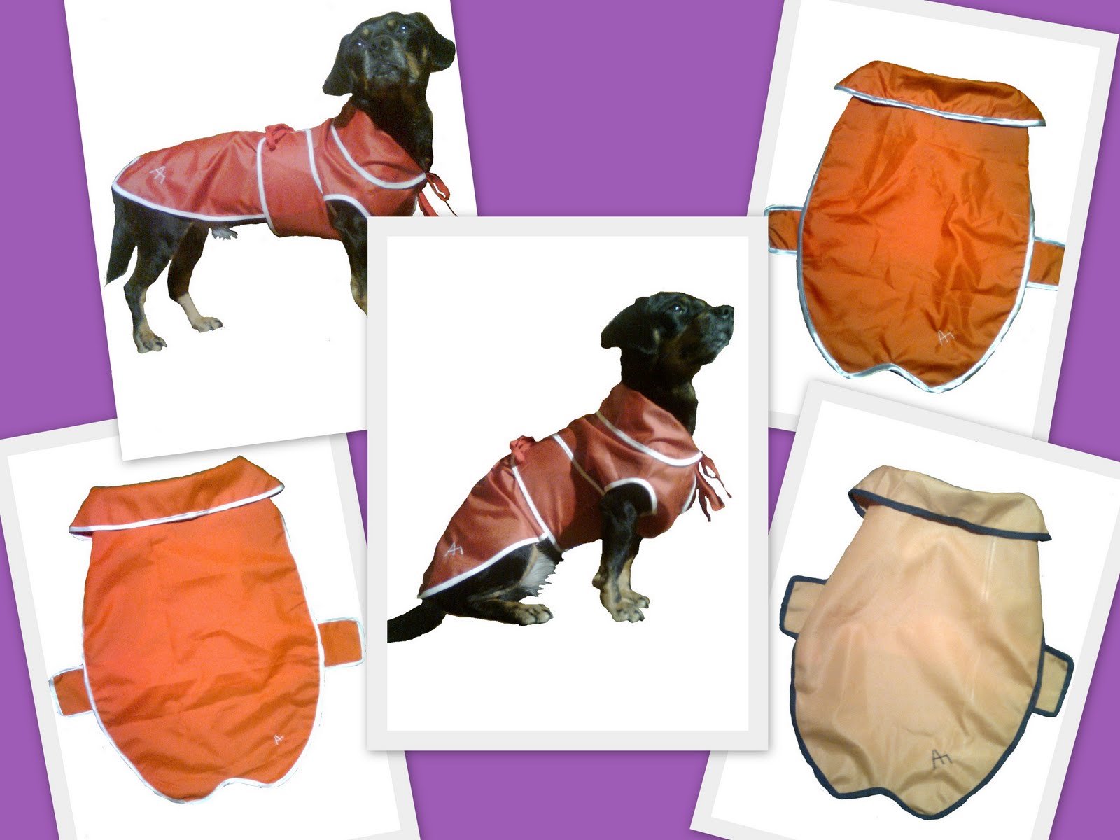 [POZE+NEPRELUCRATE1.jpg]