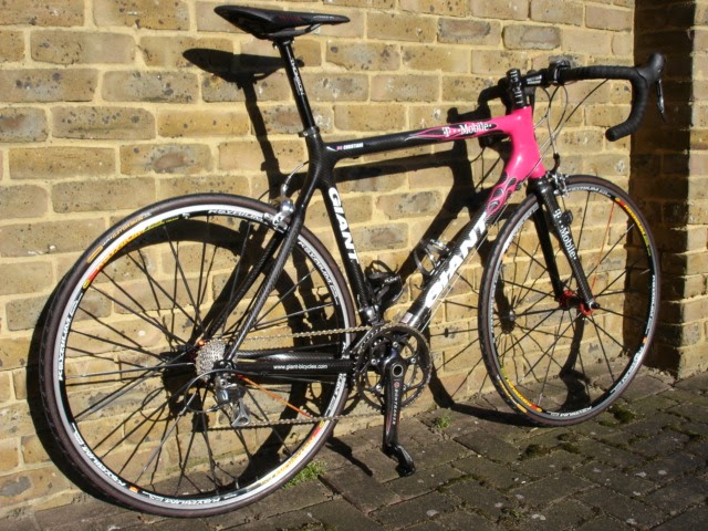 giant tcr 2005