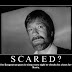 Funny Chuck Norris