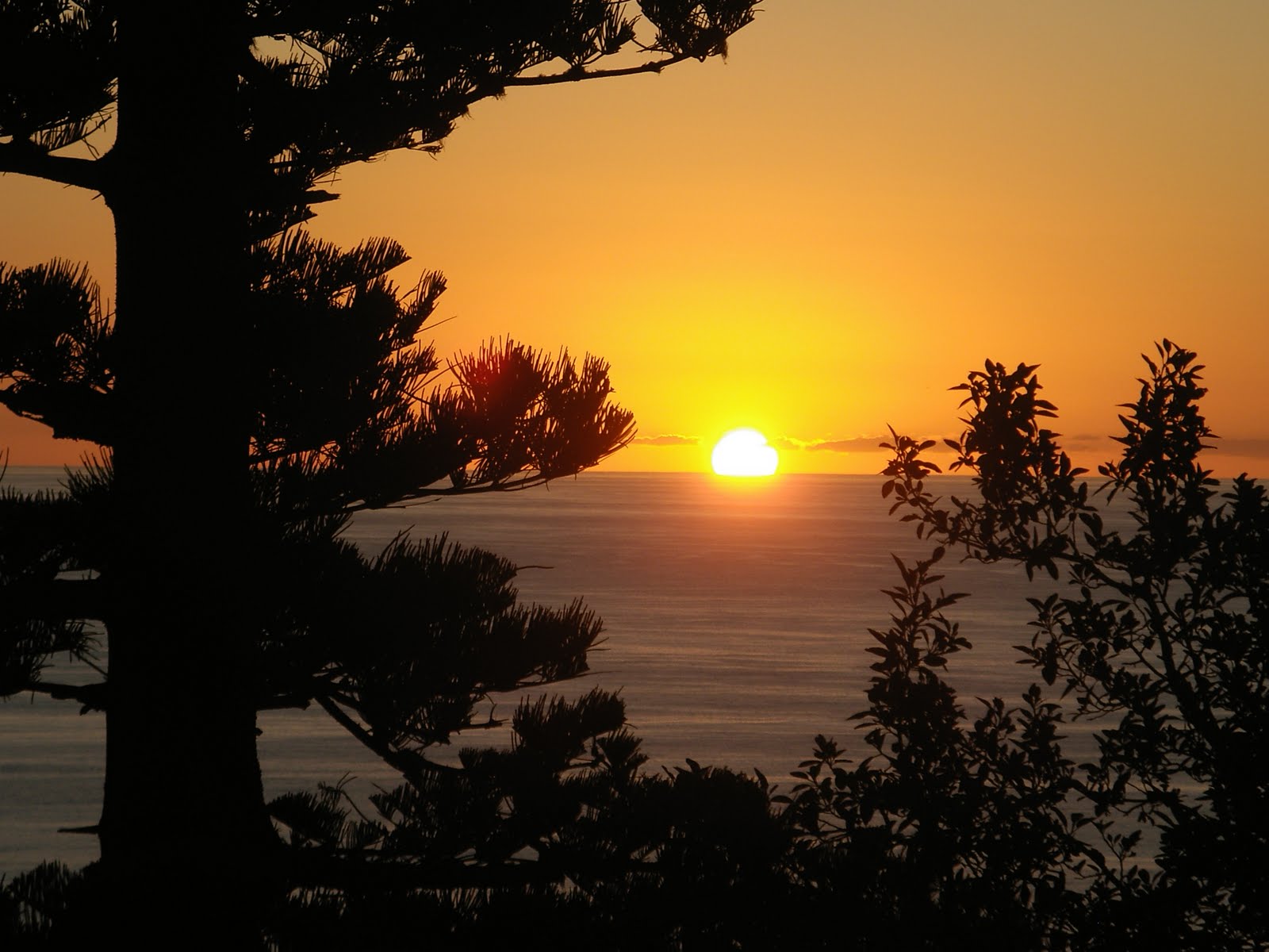 Hillcrest Gardens Hotel