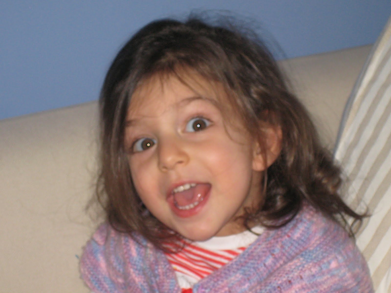 Cimcime�nin Penceresi&hellip; Mayıs 2010