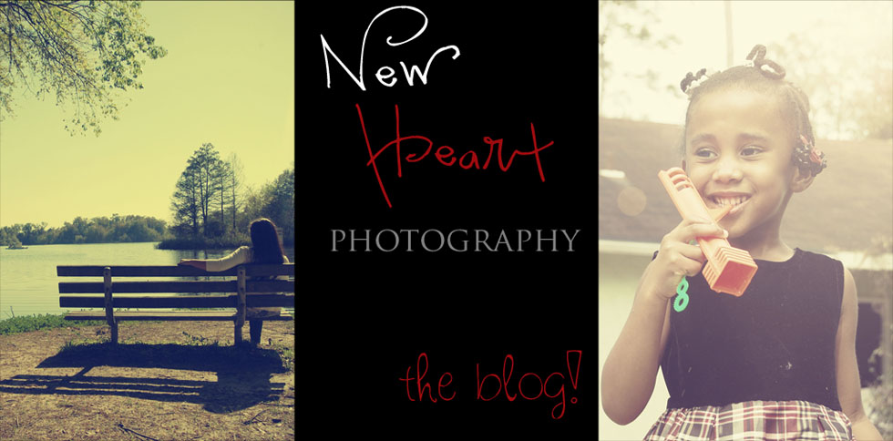 New Heart Photography