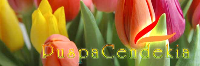 PuspaCendekia