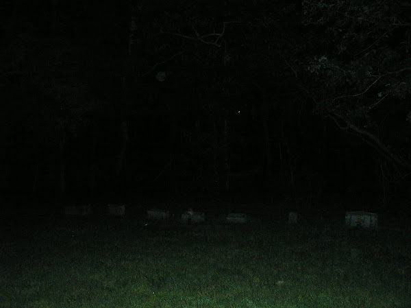 PIC FROM CEMETERY IN KY