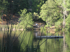 Brentwood Lake near our home in Twain Harte, CA.
