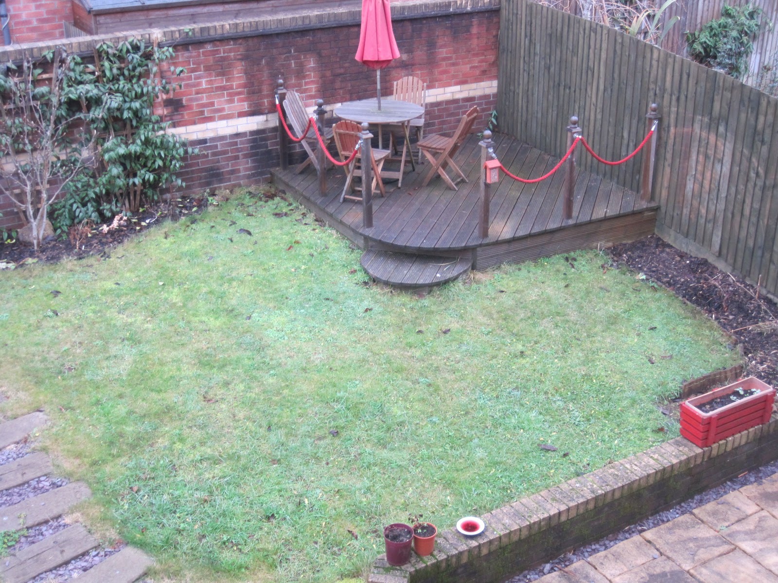 Grainy's Garden: January 2011