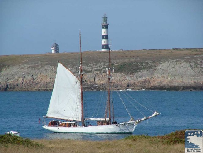 [normal_photo-ouessant-039.jpg]