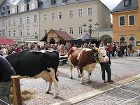 Thb Rathaus Hotel Johstadt In Ja Hstadt