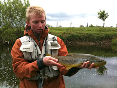 A beautiful wild brownie