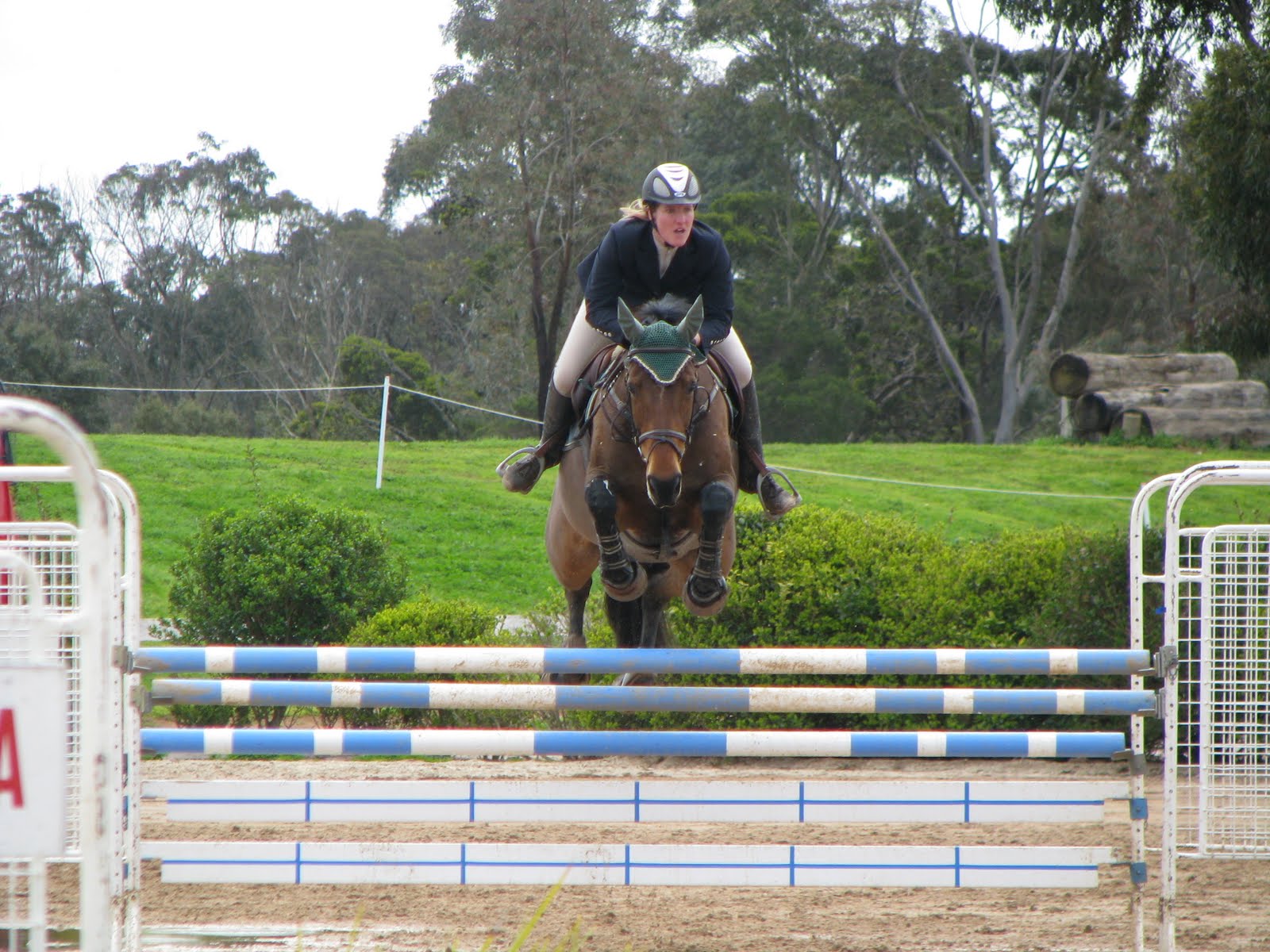 Hawke Nest Melbourne Equestrian Center