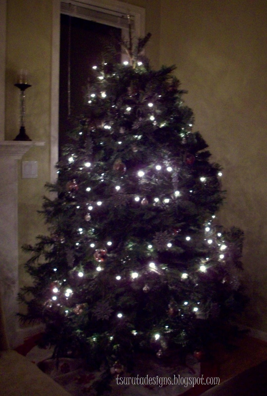 [Christmas+2008.JPG]