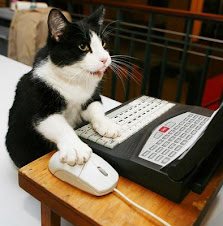 kucing main komputer