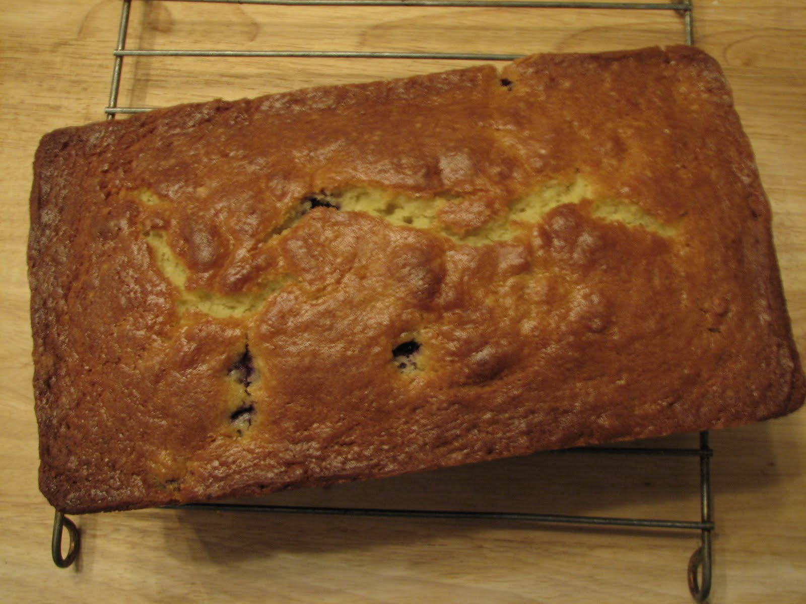 Lynda's Recipe Box Orange Blueberry Yogurt Bread and a reminder