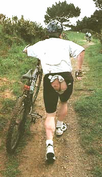 [WhenNotT-799130.jpg]