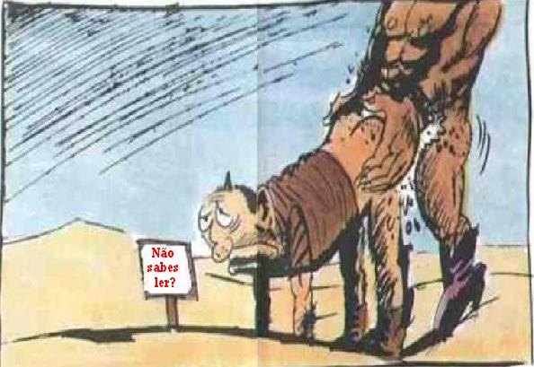 [Imagem7-727241.jpg]