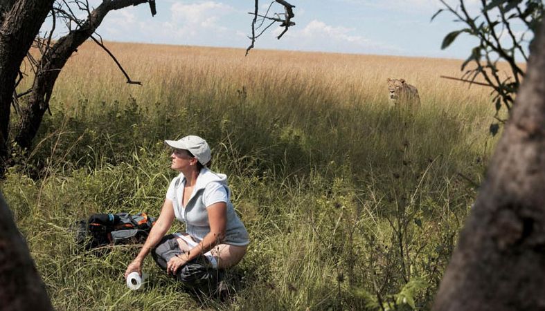 [cagar+na+selva-782502.jpg]