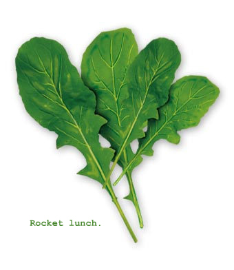 Rocket Lunch