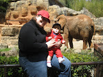 Mama and Quinn with the Elephants