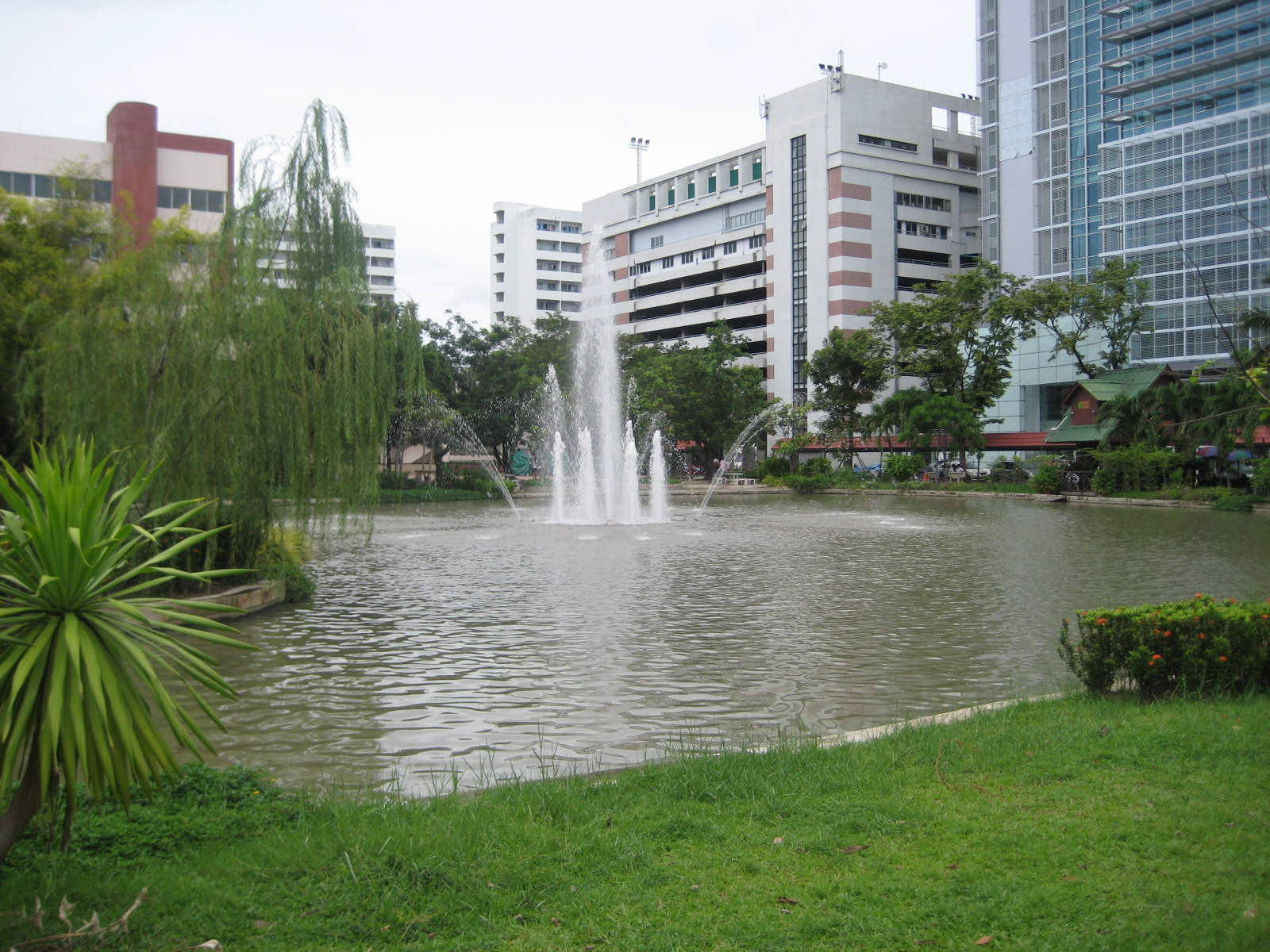 [IMG_2419.JPG]