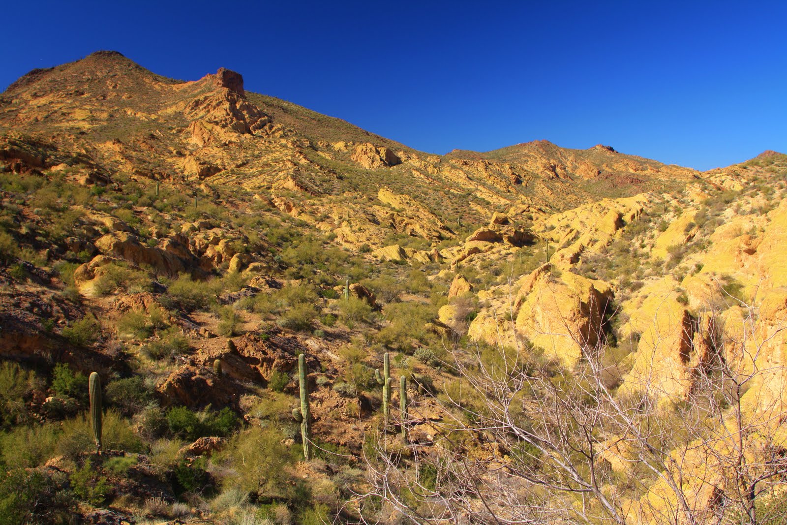 Francis Studios The Amazing Apache Trail....