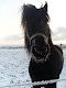 Mitt foto
