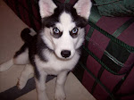 ABBY...still our first baby!