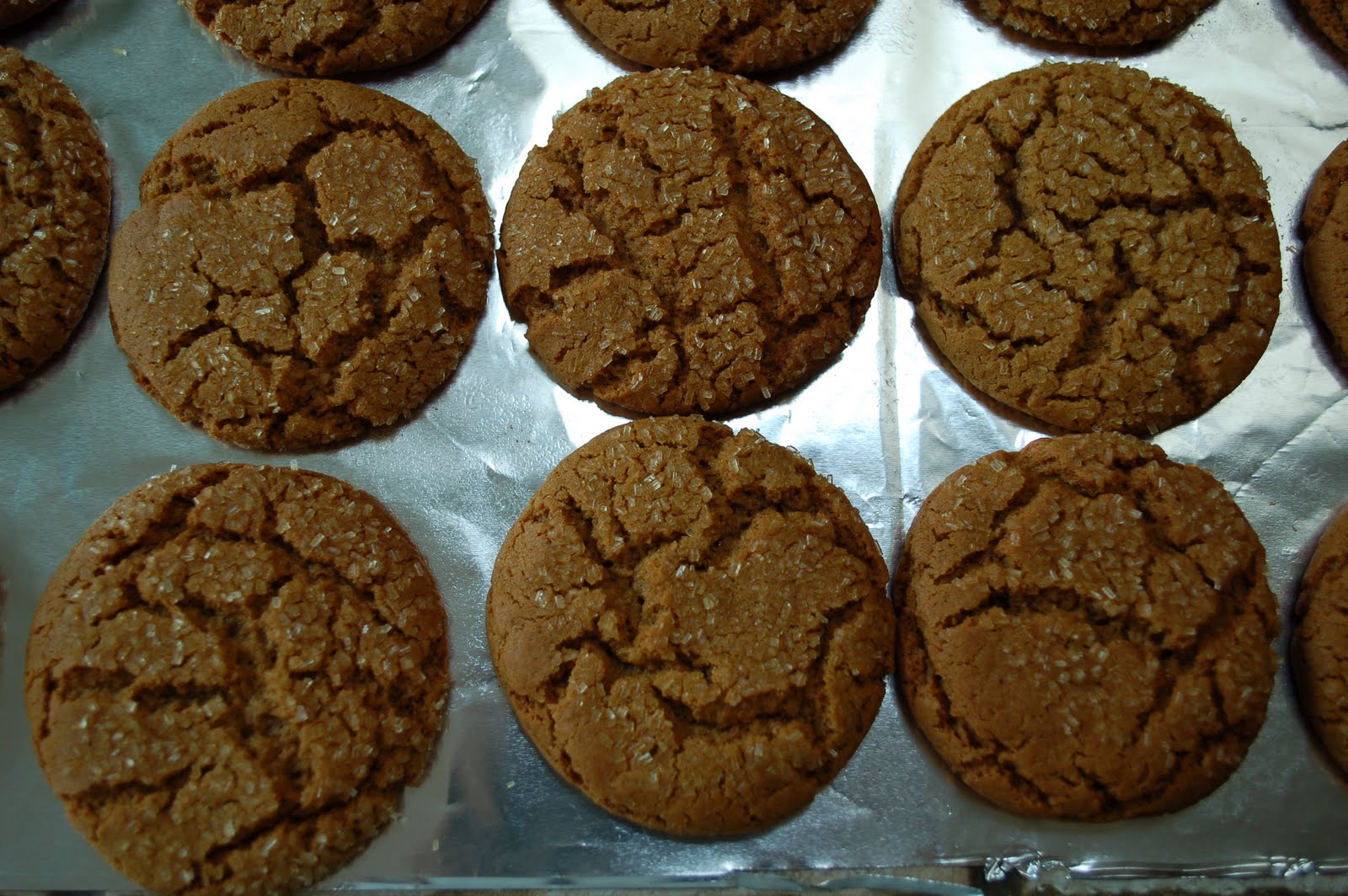The Spice Garden The Best Soft Molasses Cookies You Will Ever Knosh