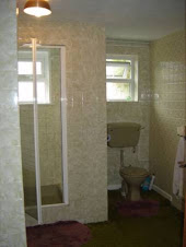 Avocado shower room