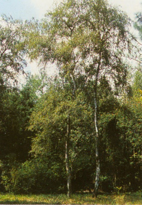 ojcowski-park-narodowy