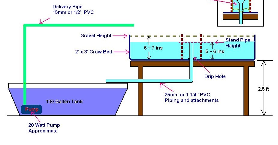 Affnan's Aquaponics: Setting Up A Simple Aquaponics System
