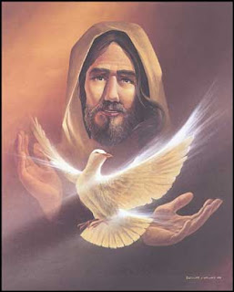 white bird in Jesus Christ background holy spirit image
