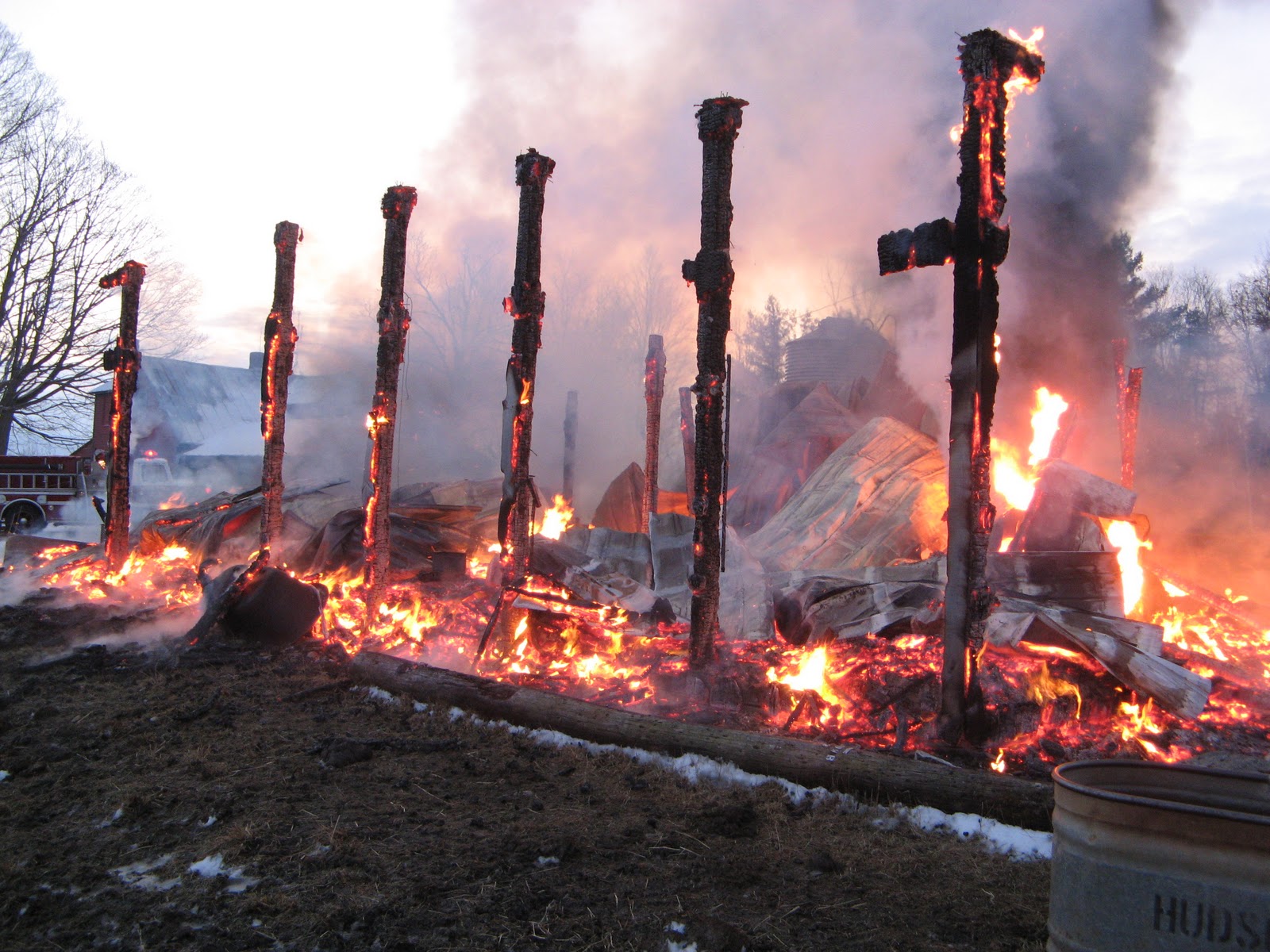 Animal Instinct BARN FIRE
