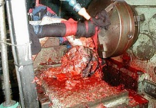 Foto Kecelakaan Kerja | 1000insan