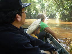 Ekspedisi Anggrek Alam Sungai Kapuas Hulu Kalimantan Tengah