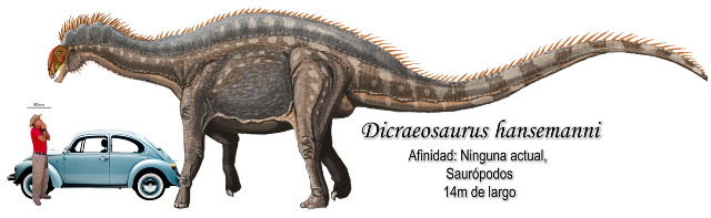 Dicraeosaurus hansemanni a escala.