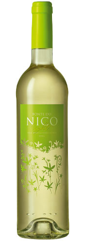 [fontedonicolight.jpg]