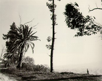 [Robert+Adams_timoteo_canyon.jpg]