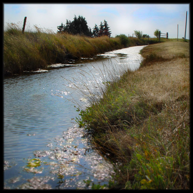 [PascalRenoux+est42.jpg]