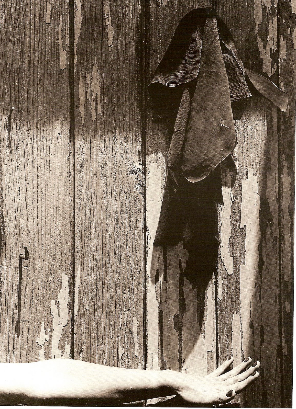 [alvarez+bravo+6.jpg]