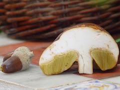 Leccinum lepidum