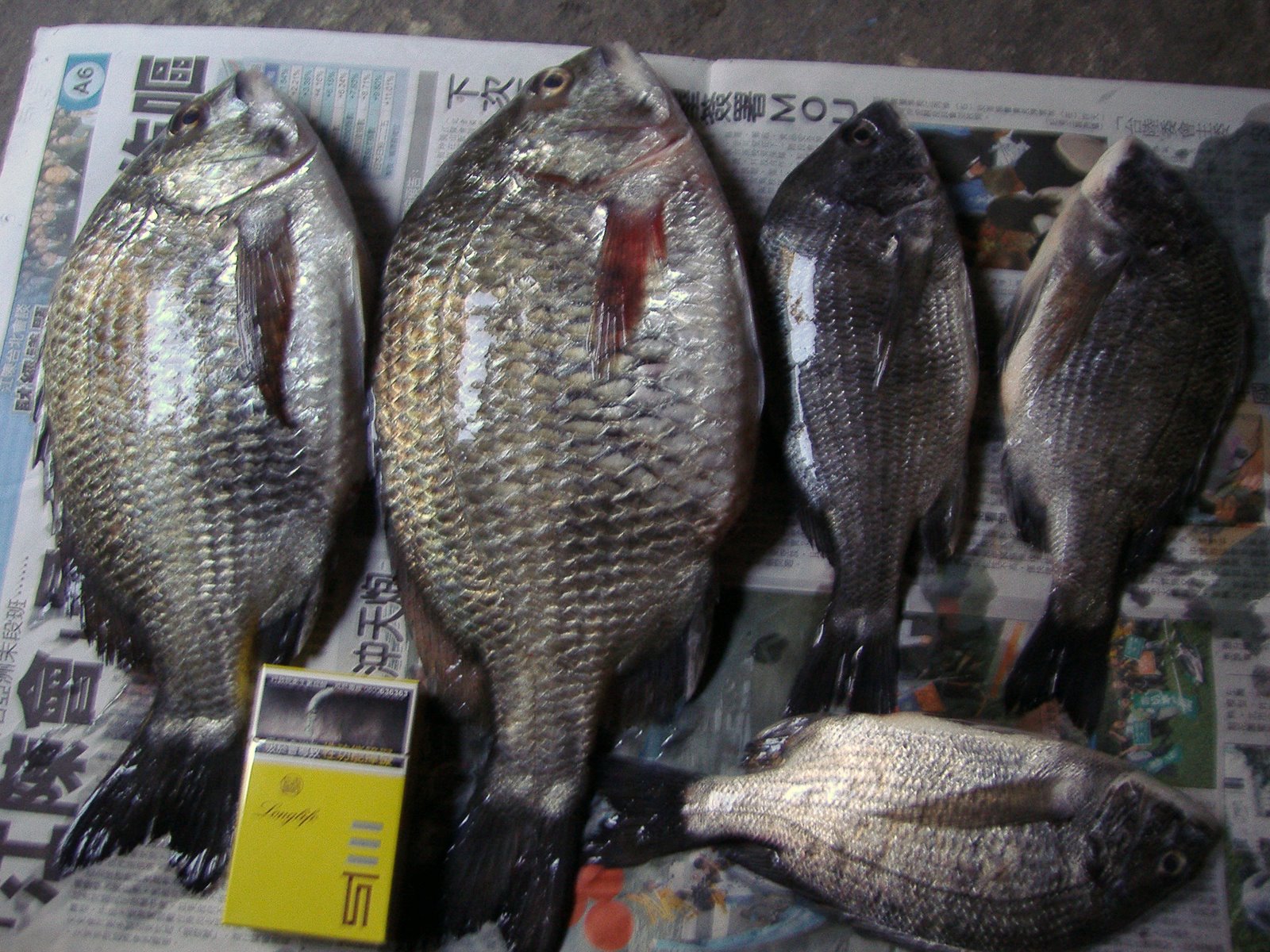 [P1020068.JPG]