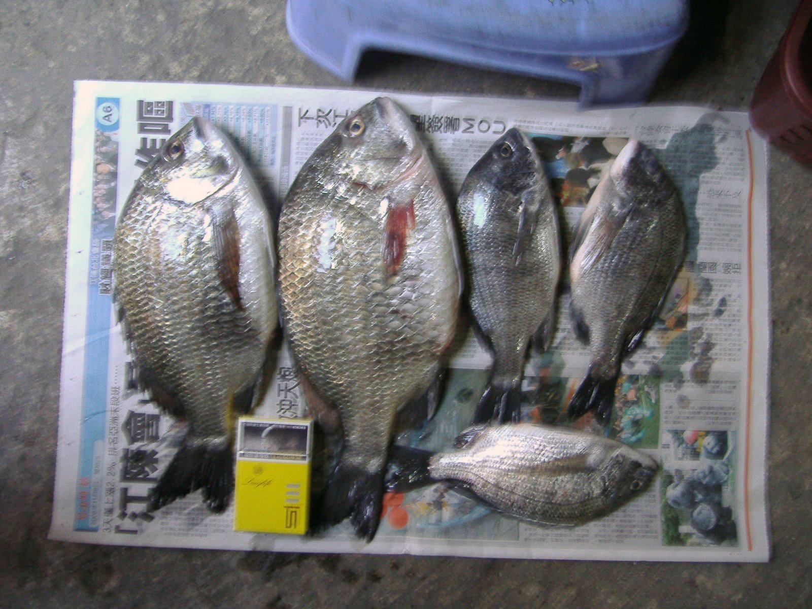 [P1020070.JPG]