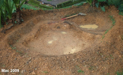 My Small Garden: Kolam Ikan DIY