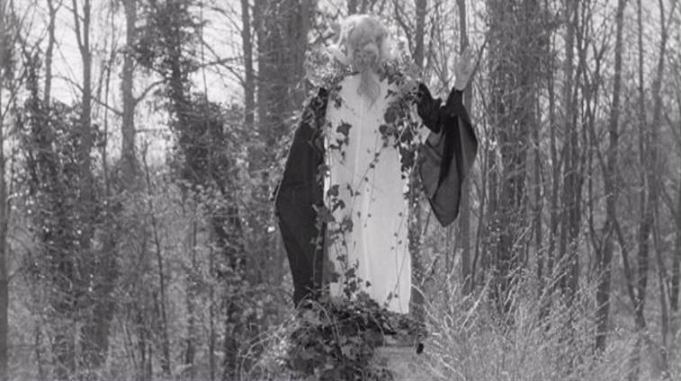 DRACULAND: The Dracula´s Blog: Le Viol du Vampire (1968)